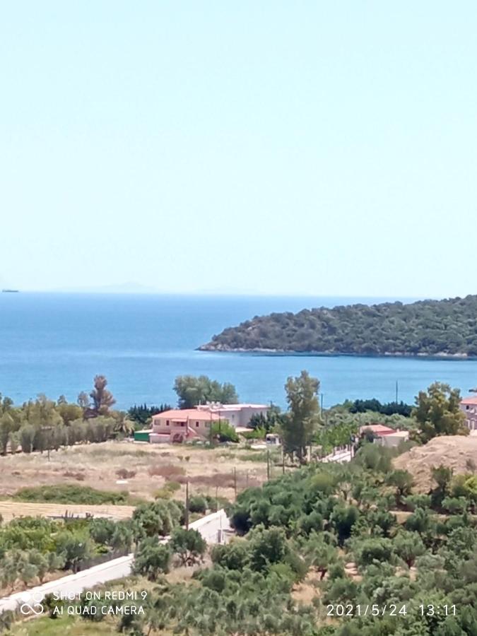 Villas Guest House Вати Екстериор снимка